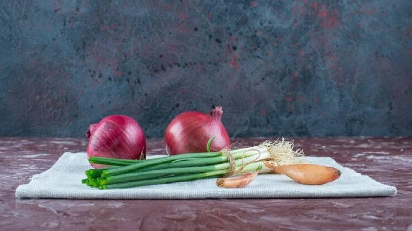 spring onions health benefits & Its Nutrients these Amazing Benefits Of Spring Onions We Bet You Dont Know