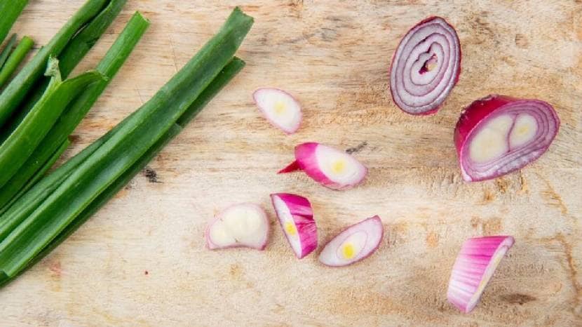 spring onions health benefits & Its Nutrients these Amazing Benefits Of Spring Onions We Bet You Dont Know