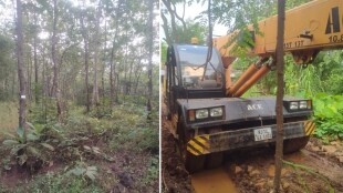 4,500 old trees cut down towers private power plant poi kalyan villagers strongly opposed