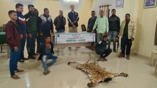 doubt of tiger was hunted in Etapalli area