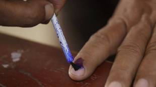voting ink