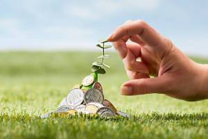 wealth conservation, investment, health policies, bank details,