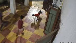 5-Year-Old Young Boy Suffers Severe Injuries In Stray Dog Attack In Hyderabad's Dilsukhnagar