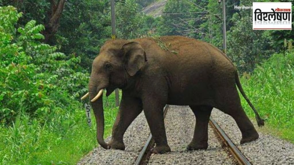 Use of AI for the safety of elephants What is the plan of Indian Railways