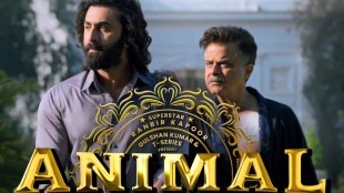 Animal Movie box office collection day 1