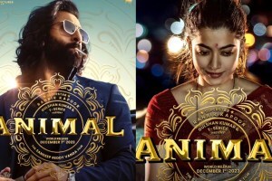 Animal Movie box office collection day 3