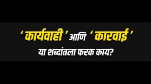 What is the Difference between this two words?