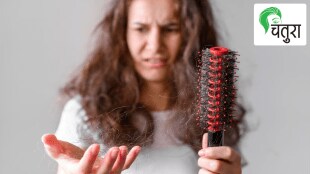 Ayurvedic remedies for Hair diseases