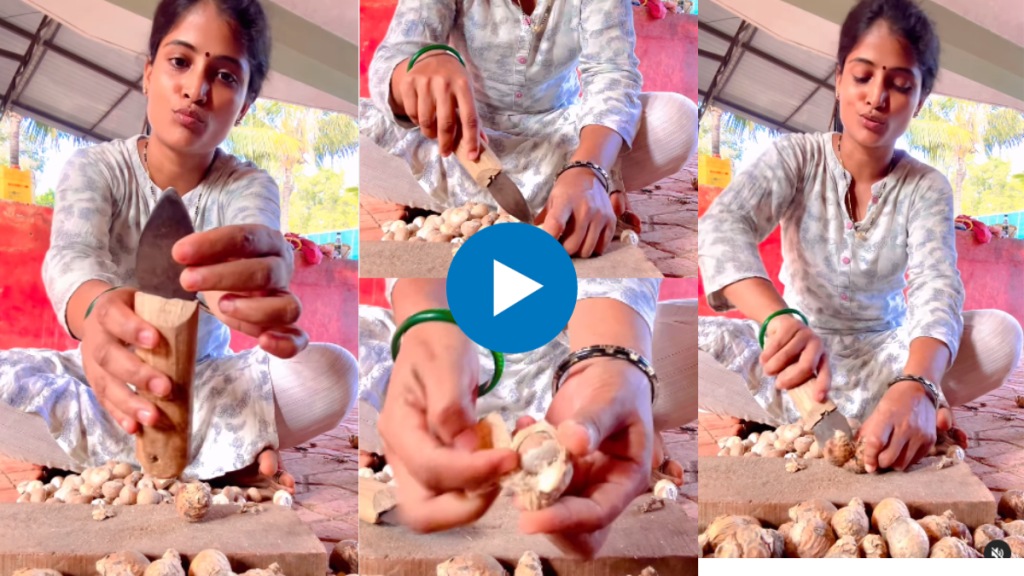 | How is the fruit of betel nut how to peel betel nut see the viral video