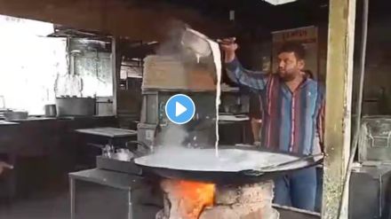 Rajasthan Doodh Mandir shop Viral Video