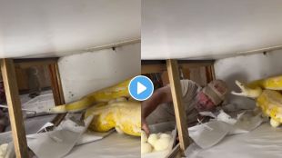 The man was trying to steal python eggs