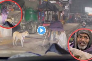 loyal dog and homeless man trending video