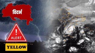 Michaung Cyclone vidarbh yellow alert rain