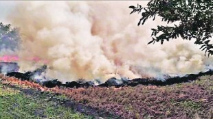 After harvesting the crops in the fields in Punjab and Haryana A serious problem is the burning method