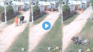 Buffalo Hits Man Riding A Bullet