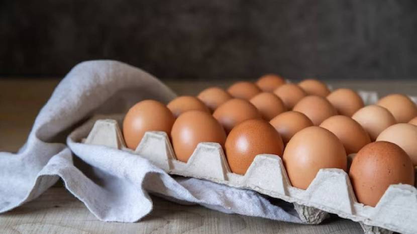 Should Eggs Be Kept In The Fridge Or Outside Know What Is The Right 