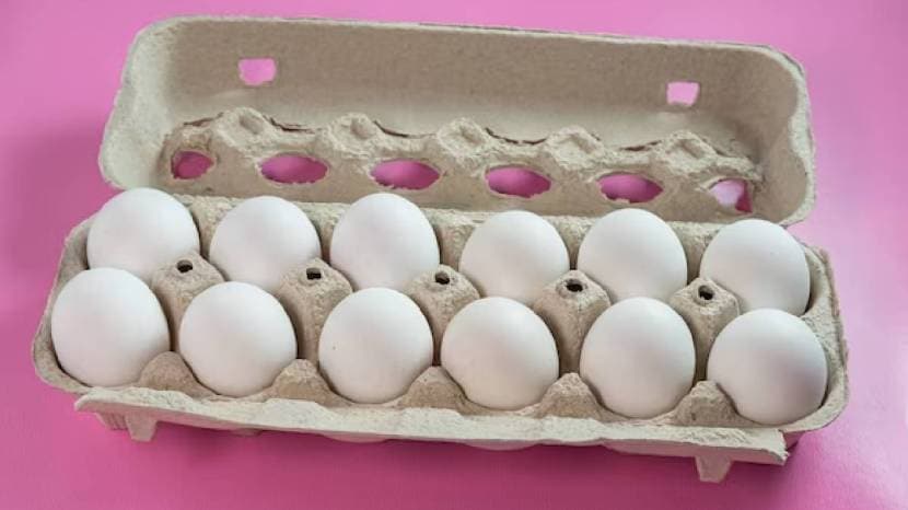 Should Eggs Be Kept In The Fridge Or Outside Know What Is The Right 