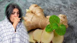 Ginger Benefits In Winter Ginger Boosting Properties That Can Help Protect You From Colds