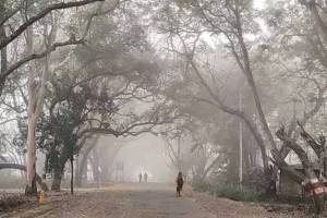 Forecast by Meteorological Department