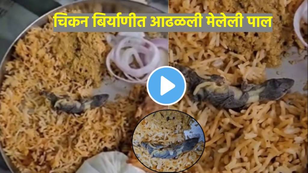 After Dead Cockroach, Lizard Found In Chicken Biryani in hyderabad Disgusting video viral