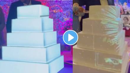 Viral Video Couple Cut The Projector cake In the Wedding must watch