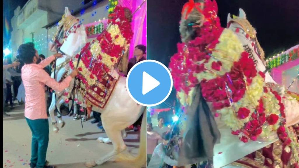 Is this a bridegroom or a flowers garden netizen surprised to see wedding groom viral video