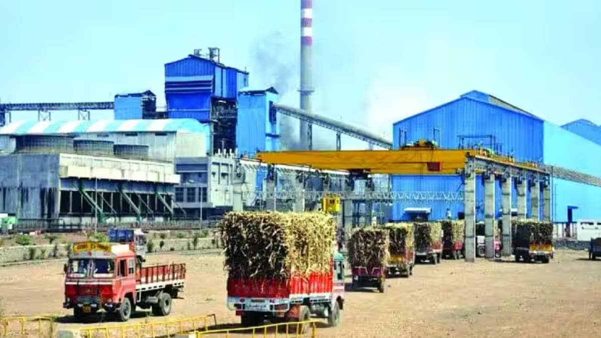 Indian Reverses Ban on Sugarcane Juice To Make Ethanol then Sugar Stocks Surge Up To Eight Percent
