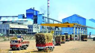Indian Reverses Ban on Sugarcane Juice To Make Ethanol then Sugar Stocks Surge Up To Eight Percent
