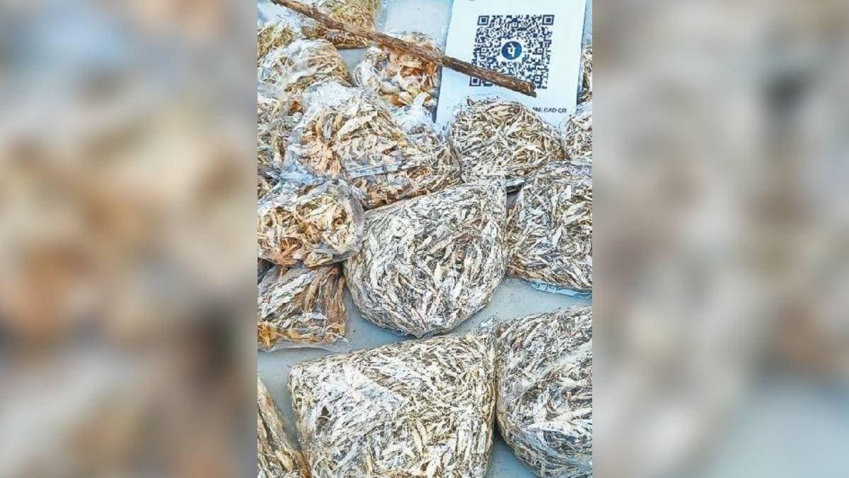 prices dried fish Uran area