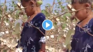 Littele girl help his father in farm video goes viral Users Get Emotional After Watch Video