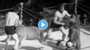 Heart stopping video of man face to face with lion in arena viral video