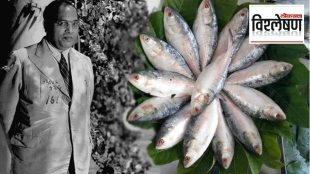 Dr Babasaheb Ambedkar's favorite fish