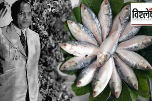 Dr Babasaheb Ambedkar's favorite fish