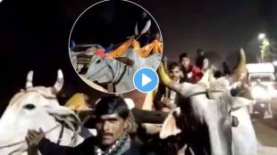 Newly Wed Couple Choose To Use Bullock Cart After marriage