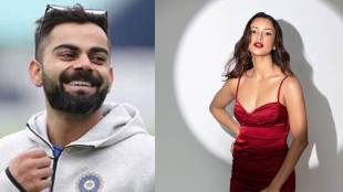What Trupti Dimri Said About Virat Kohli?