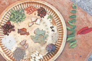 Search for memories of the taste Vegetables of Khandoli to Ghulna