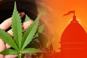 some temples give ganja or marijuana as a prasada