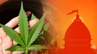 some temples give ganja or marijuana as a prasada