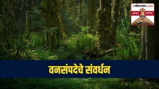 forest policy in india