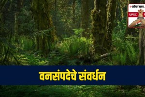 forest policy in india
