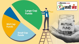 What is the difference between small cap mid cap large cap and multi cap funds