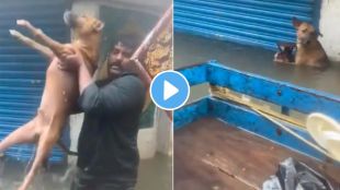 Dog saved by man