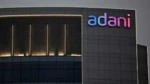 adani group, market capitalization, assets