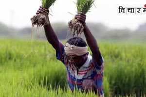 Many villages have planned the steps of agricultural development
