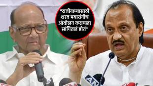 ajit pawar sharad pawar (3)