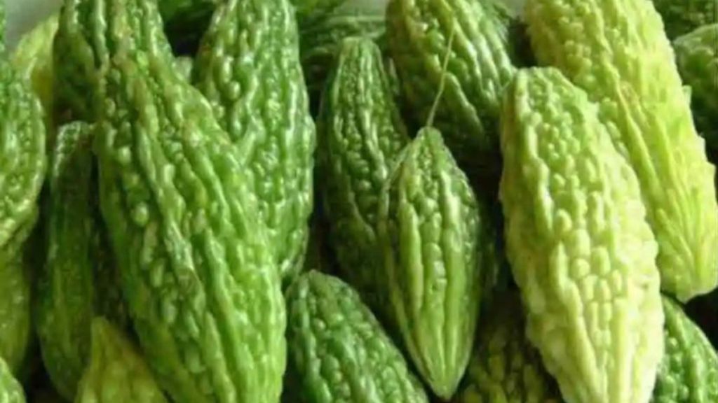 10 rupees increase in bitter gourd price in two days