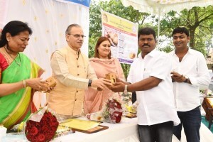 gholwad declared as third honey village of maharashtra, gholwad honey village