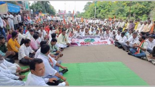 gadchiroli farmers protest in chandrapur, tiger and elephant attack on gadchiroli farmers