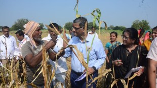 team of central government, inspected drought like situation,