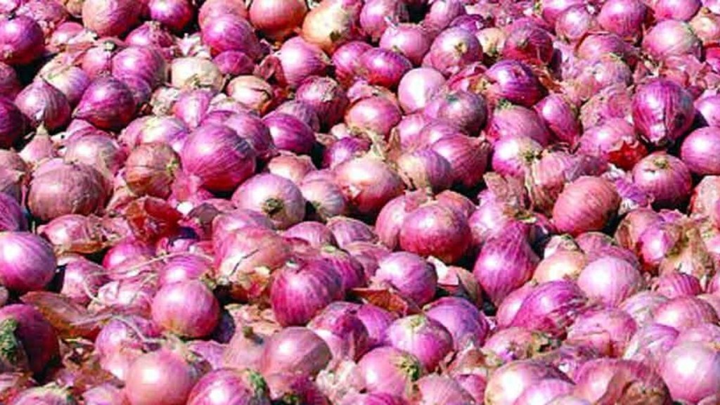 1 lakh 40 thousand quintal onion solapur apmc